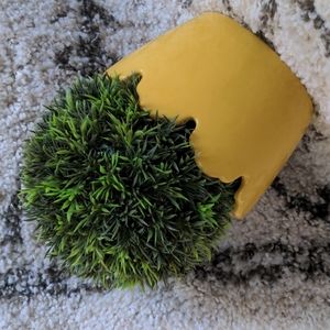 🌾5/$25🌾 Home decor plant